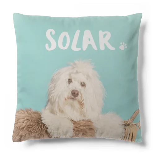 solar Cushion