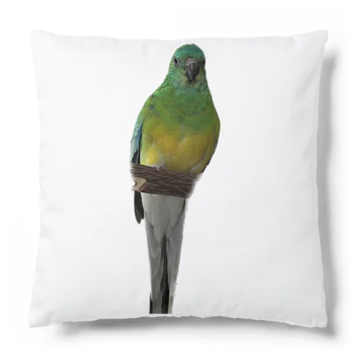 ビセイインコ Cushion