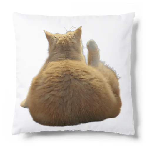 おやじ猫の背中 Cushion