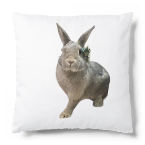 ミニウサギのラグ Cushion