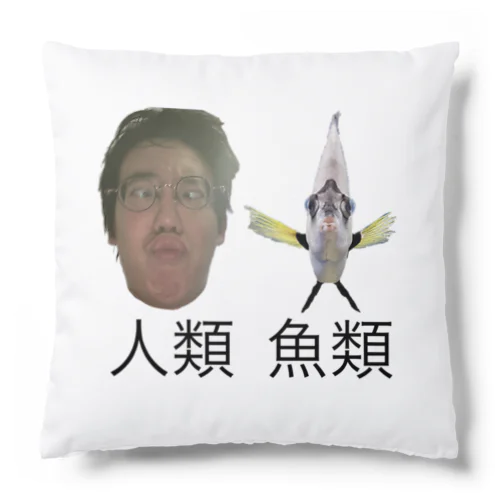 意外な共通点 Cushion