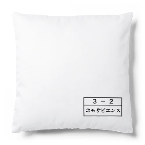 ３－２ホモサピエンス Cushion