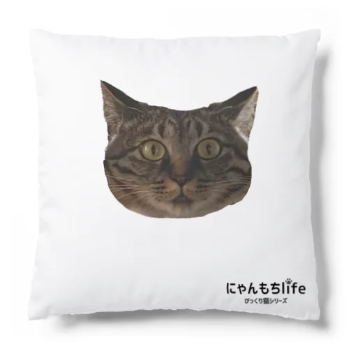 びっくり猫シリーズ② Cushion