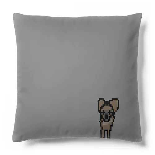 #Tinytos ruiny cushion Cushion