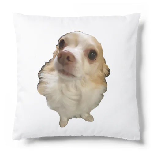 charo♪ Cushion