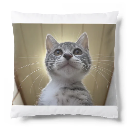 保護猫ベジータ　神 Cushion