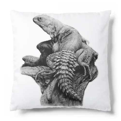 ユカタントゲオイグアナ | Ctenosaura defensor Cushion