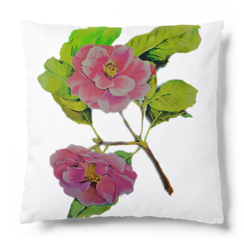 Camélia japonica  Cushion