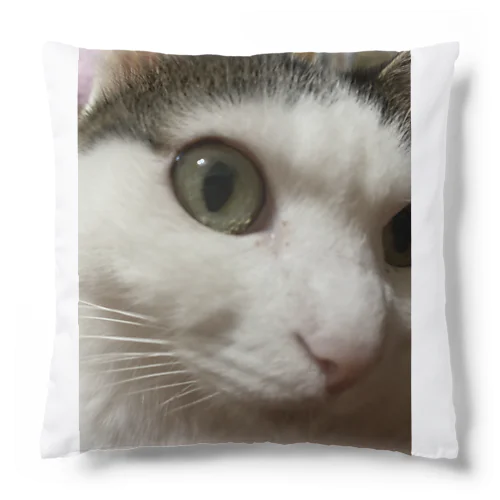 猫山さん。はるがきた。 Cushion