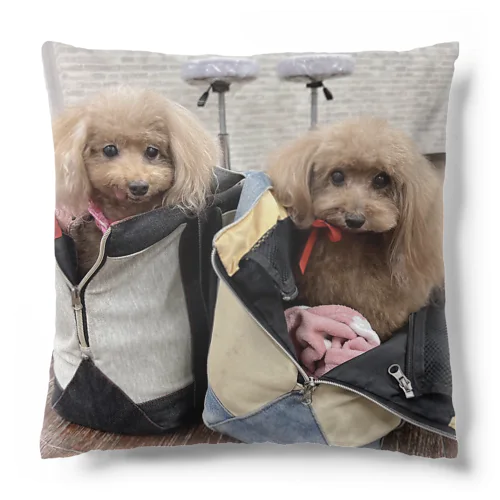 れんちゃんシェリちゃん Cushion