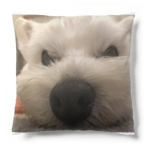 ねむマオ Cushion