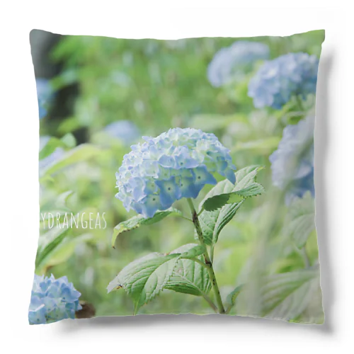 hydrangeas Cushion