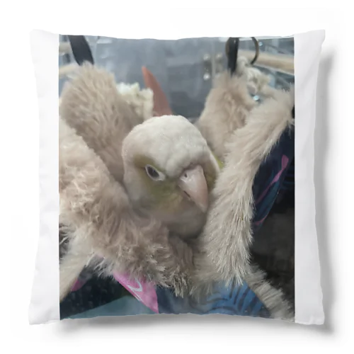 ウロコインコのびすみろシリーズ Cushion