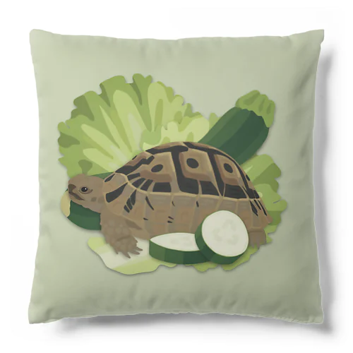 ギリシャリクガメズ Cushion