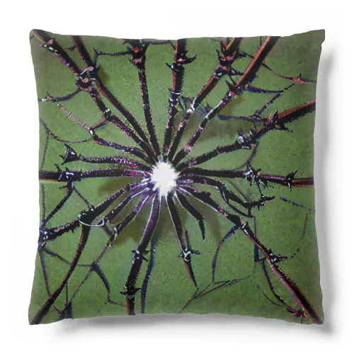 ヒール・スパイダー Cushion