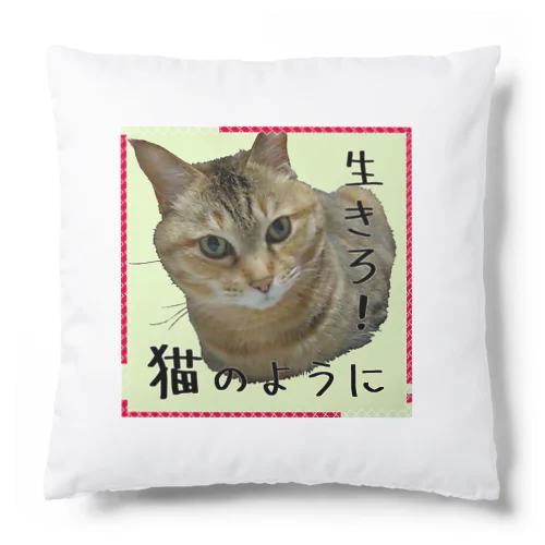 生きろ！猫のように Cushion