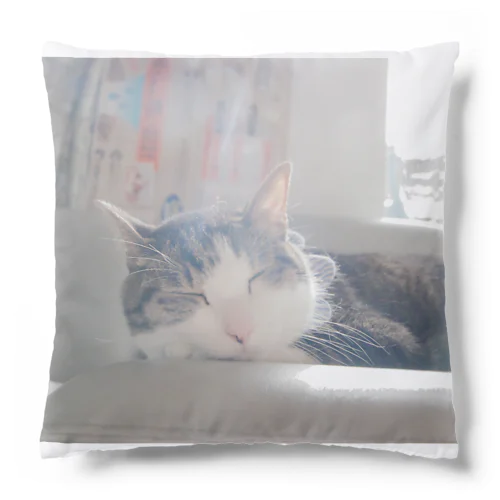 カケルのおひるね Cushion