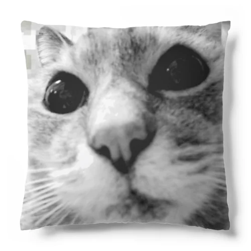 二代目猫 Cushion