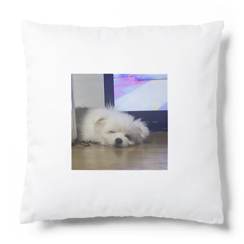 マフィロン　睡眠 Cushion