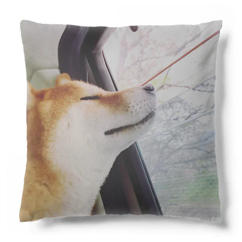 ナイン君グッズ Cushion