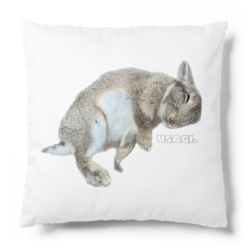 ねころびうさぎ Cushion