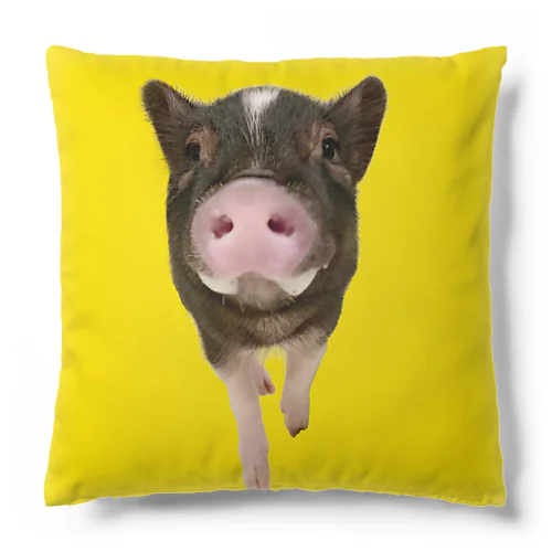 【数量限定】よだれクッション Cushion