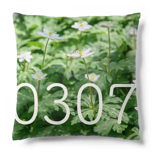 3月7日 ニリンソウ Cushion