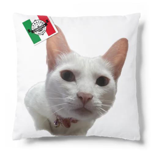 カルロッタ🇮🇹鶴ちゃん① Cushion