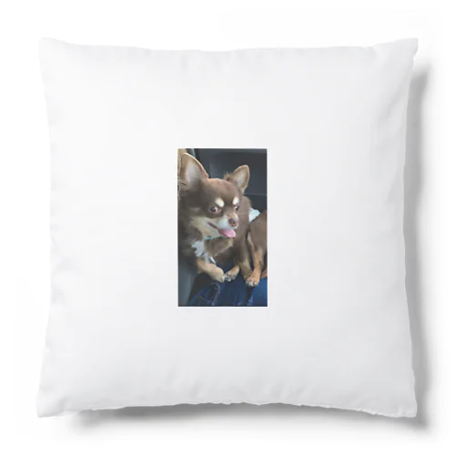 愛犬のラッキー🐶 Cushion