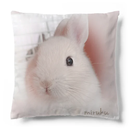 うさぎくんクッション Cushion