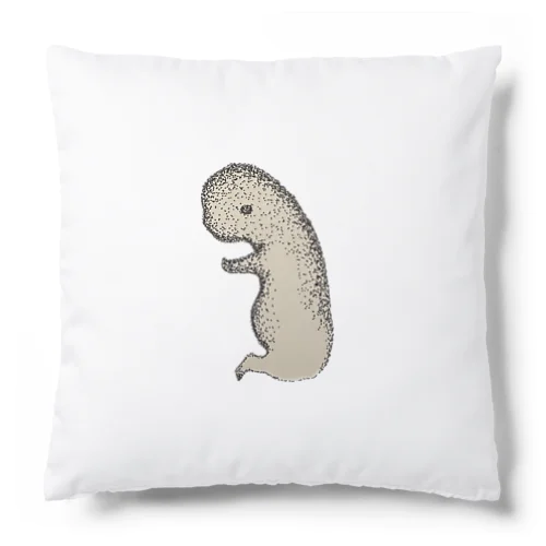 多岐犬蜥蜴 Cushion