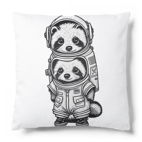 CT raccoon Cushion