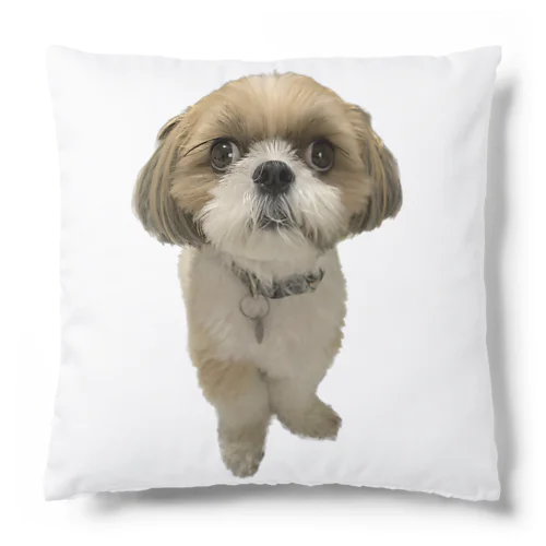 シーズー犬・ルーさんのアイテム Cushion