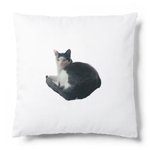 DAIZU Cushion