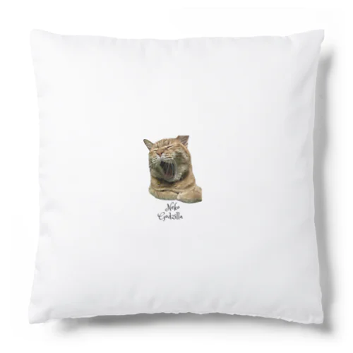 猫ごじら Cushion