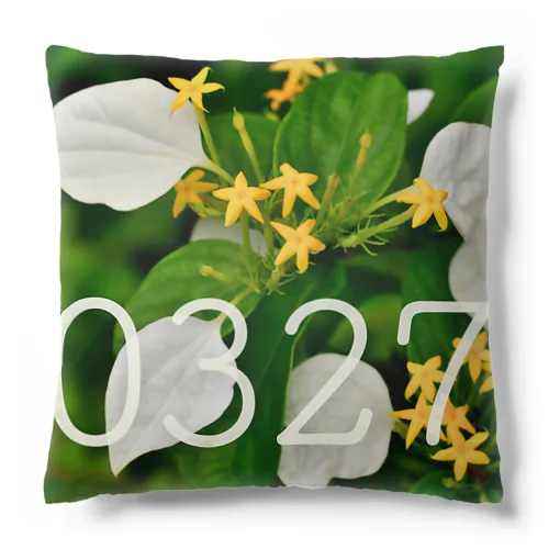 3月27日 コンロンカ Cushion