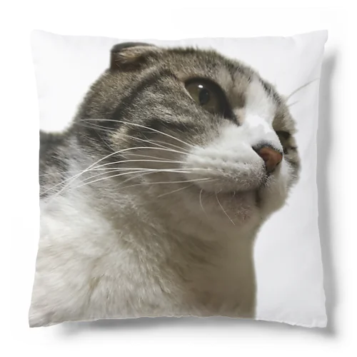 ウチノネコ Cushion