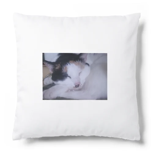 おやすみ猫 Cushion