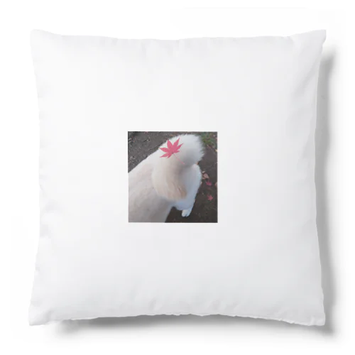 柴犬しっぽ Cushion