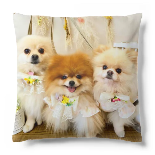 Pomeranianlovers　ポメラニアン Cushion