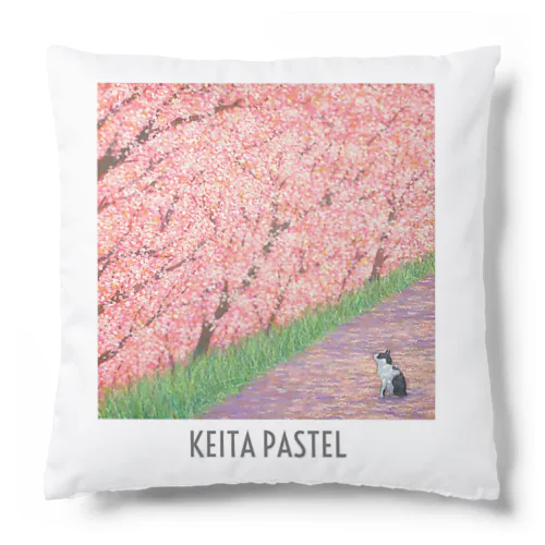 KEITA PASTEL クッション