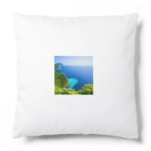 海外画 Cushion