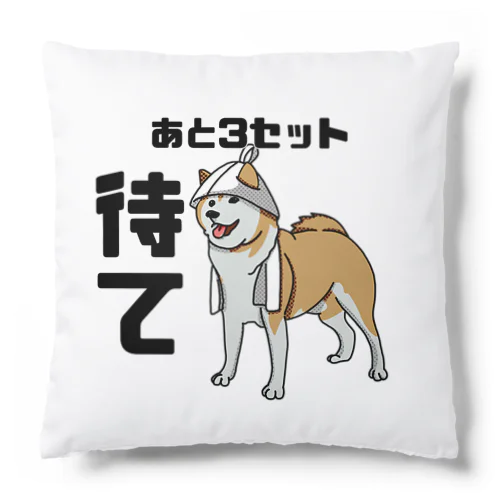 3セット待て Cushion