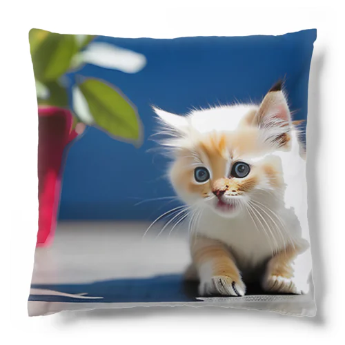 子猫 Cushion