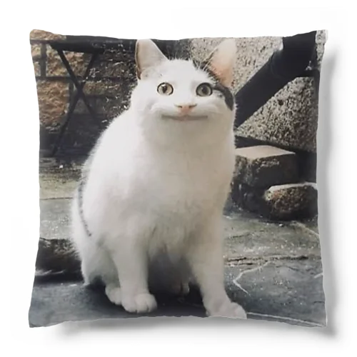 ニッコリニャンコ Cushion