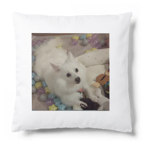 愛犬パールグッズ　Mipa♥日本スピッツ Cushion