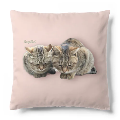 交流猫 薄キジ猫ズ（Type01） Cushion