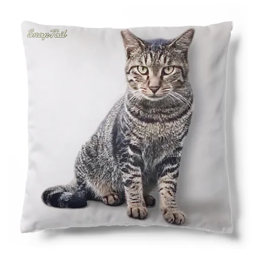 キジトラ猫ニャッハーお座り Cushion