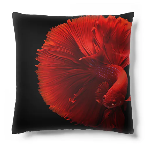 金魚 Cushion