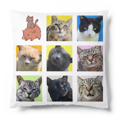 交流猫ズ スター軍団 Cushion